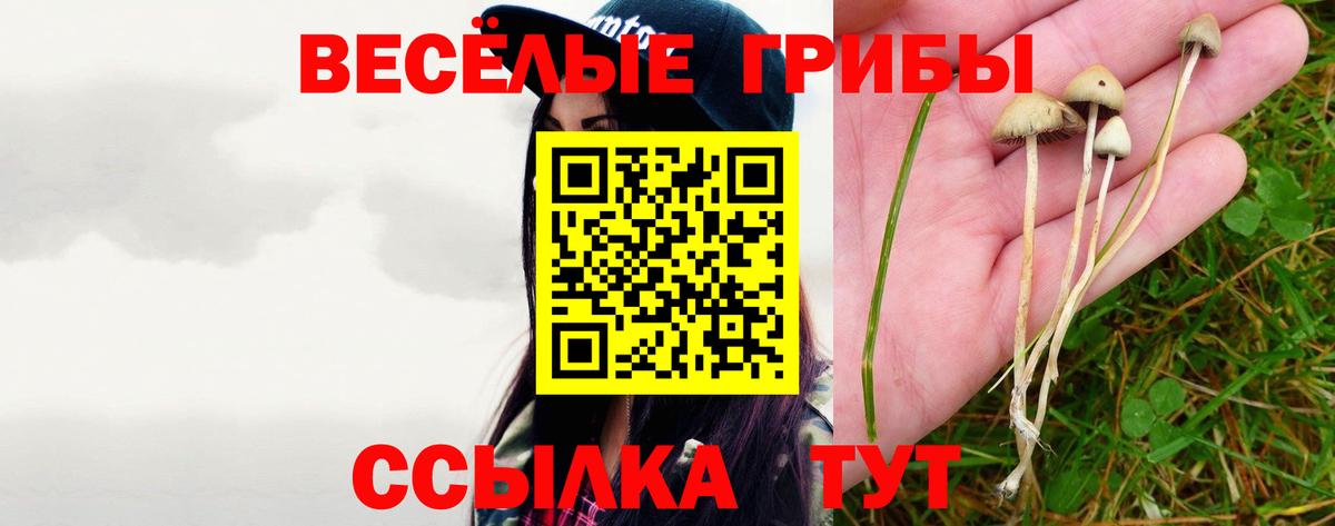 Псилоцибиновые грибы мухоморы Аргун